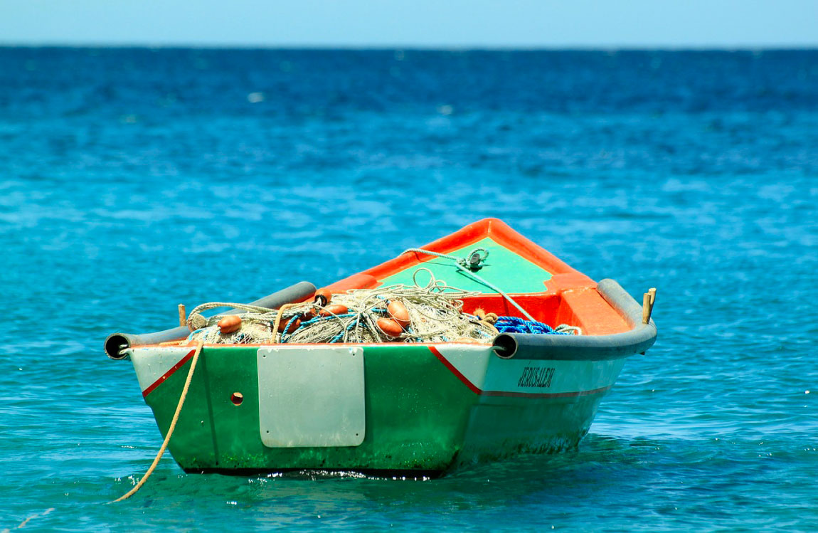 PUBBLICATO IL BANDO “VENDITA DIRETTA DI PRODOTTI DELLA PESCA” - 1° AVVISO