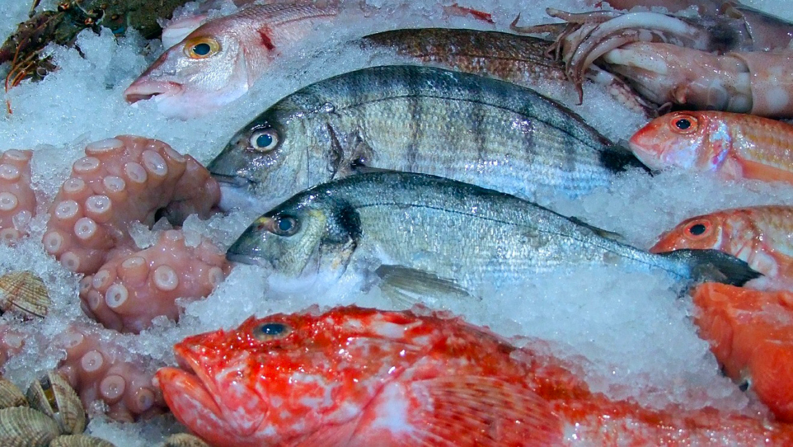 PUBBLICATO IL BANDO “MERCATI LOCALI DI PRODOTTI DELLA PESCA” - 12° AVVISO