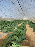 ITC FOOD PORTA IL MODELLO DEL DISTRETTO DEL CIBO IN MISSIONE TRA ALBANIA E MONTENEGRO