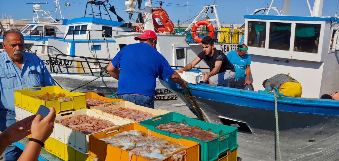 PUBBLICATO IL BANDO “MERCATI LOCALI DI PRODOTTI DELLA PESCA” - 5° AVVISO