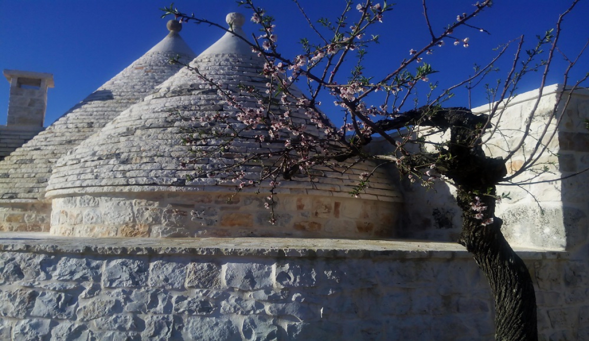 IL TRULLO NEL CILIEGIETO