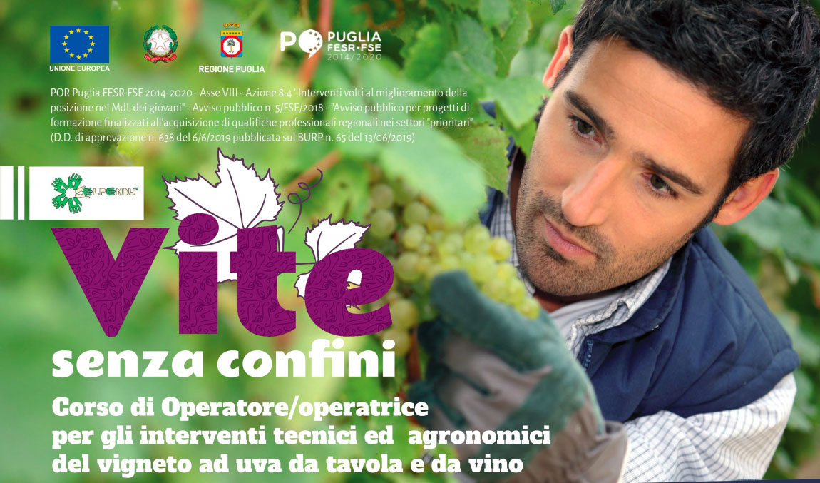 CORSO PER OPERATORI PER GLI INTERVENTI TECNICI ED AGRONOMICI DEL VIGNETO DA UVA DA TAVOLA E DA VINO