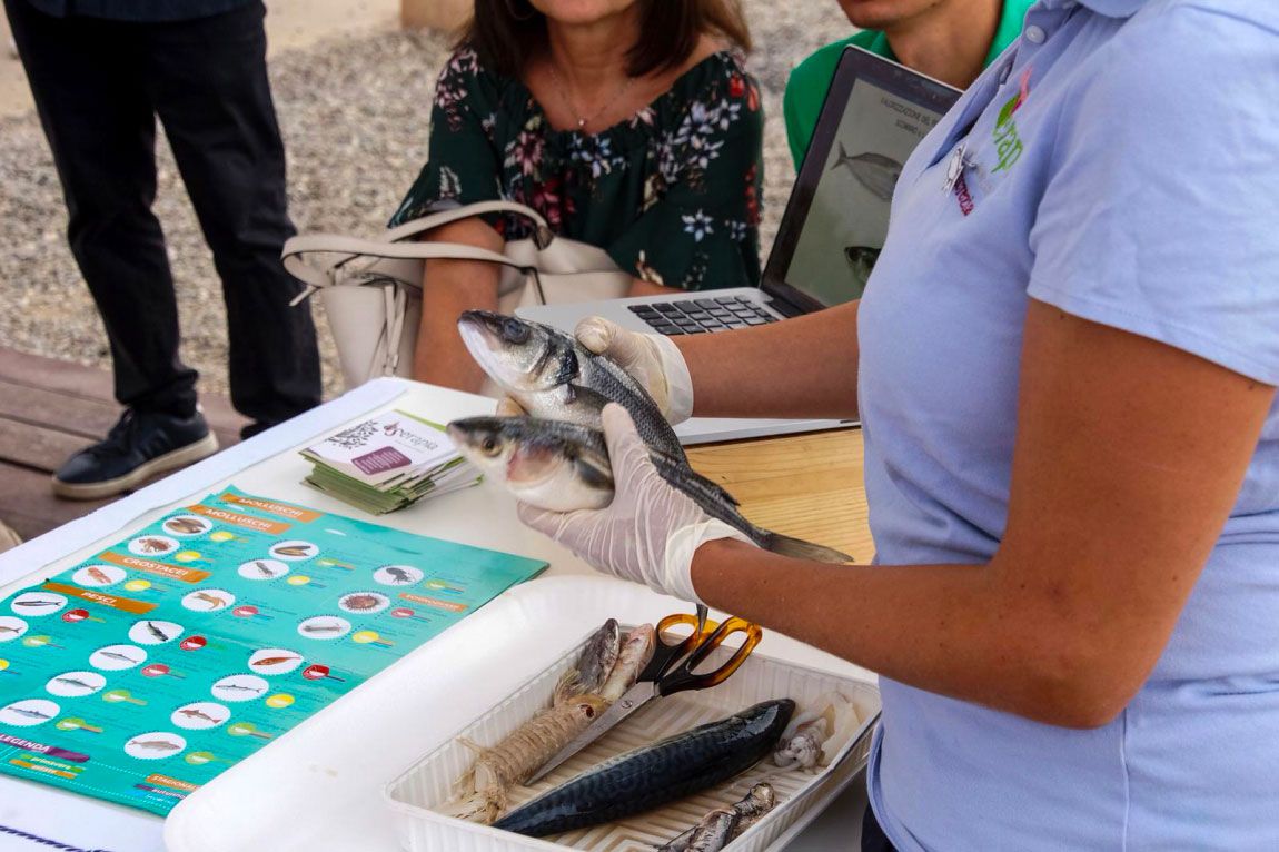 LE STAGIONI DEL PESCE, UN NUOVO LABORATORIO DEL GAL IN FIERA DEL LEVANTE