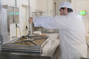 FARINA E DINTORNI: UNA NUOVA VETRINA ONLINE PER LE PRODUZIONI AGROALIMENTARI TIPICHE E DI QUALITÀ