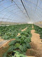 ITC FOOD PORTA IL MODELLO DEL DISTRETTO DEL CIBO IN MISSIONE TRA ALBANIA E MONTENEGRO