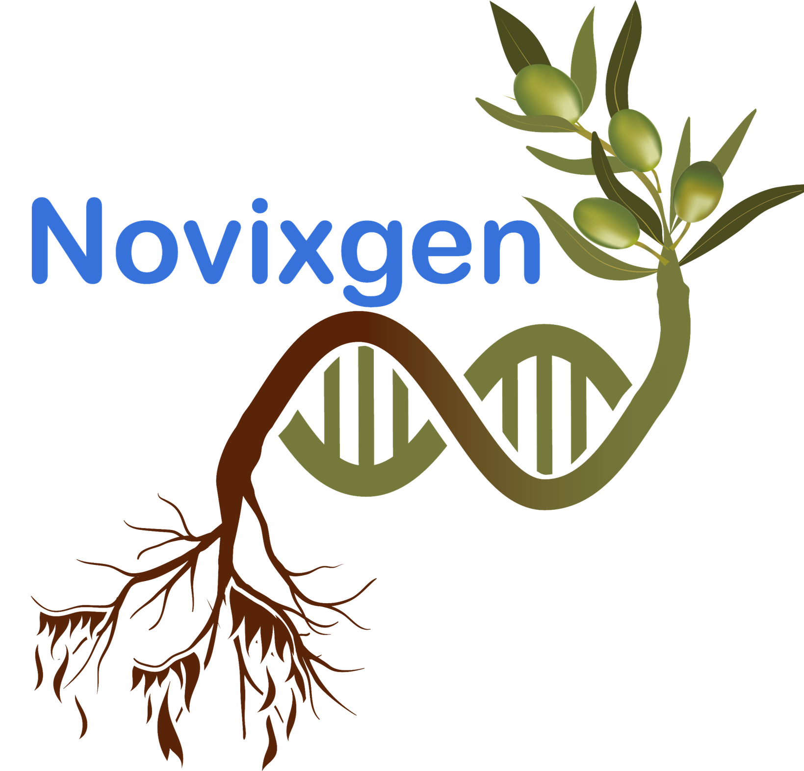 logo_novixgen.png