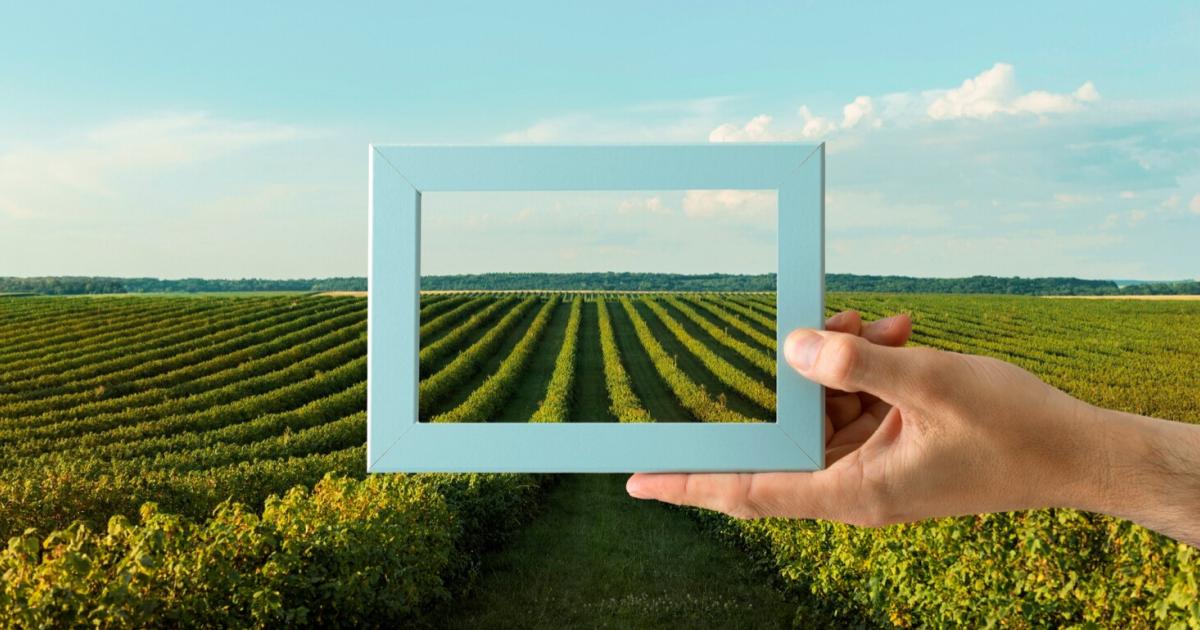 IL DISTRETTO DEL CIBO SUD EST BARESE APRE ALL'AUMENTO DI CAPITALE SOCIALE: UNA NUOVA OPPORTUNITÀ PER IL SETTORE AGROALIMENTARE LOCALE