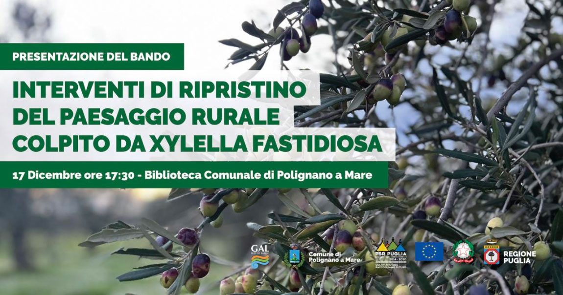 IL 17 DICEMBRE VIENE PRESENTATO A POLIGNANO A MARE IL NUOVO BANDO PER INTERVENTI DI RIPRISTINO DEL PAESAGGIO RURALE COLPITO DA XYLELLA FASTIDIOSA