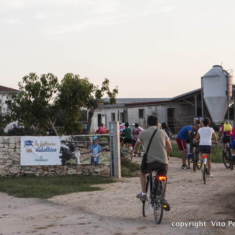 In Masseria Sotto Le Stelle 2018 7
