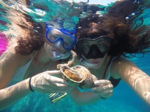 SNORKELING NATURALISTICO SULLA COSTA DI MOLA DI BARI E POLIGNANO PER AMMIRARE LE MERAVIGLIE DELL'AMBIENTE MARINO