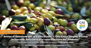 AVVISO PUBBLICO DI SELEZIONE PER LA VISITA STUDIO: L'OLIO EXTRA VERGINE D'OLIVA IN TOSCANA, DALLA TERRA ALLA VALORIZZAZIONE