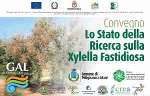LO STATO DELLA RICERCA SCIENTIFICA NELLA LOTTA ALLA XYLELLA FASTIDIOSA: IL 28 GENNAIO SE NE PARLA A POLIGNANO A MARE