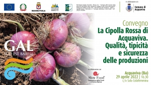 LA CIPOLLA ROSSA DI ACQUAVIVA, TRA QUALIT&Agrave;, TIPICIT&Agrave; E SICUREZZA. IL 29 APRILE SE NE PARLA AD ACQUAVIVA DELLE FONTI