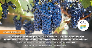 AVVISO PUBBLICO DI SELEZIONE PER LA VISITA STUDIO SU "LE VIE DELL'UVA IN PIEMONTE, TRA PRODUZIONE, TRASFORMAZIONE E COMMERCIALIZZAZIONE"