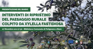 IL 17 DICEMBRE VIENE PRESENTATO A POLIGNANO A MARE IL NUOVO BANDO PER INTERVENTI DI RIPRISTINO DEL PAESAGGIO RURALE COLPITO DA XYLELLA FASTIDIOSA