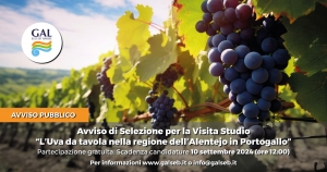 AVVISO PUBBLICO DI SELEZIONE PER LA VISITA STUDIO: L'UVA DA TAVOLA NELLA REGIONE DELL'ALENTEJO IN PORTOGALLO