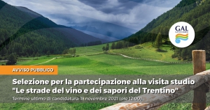 AVVISO PUBBLICO DI SELEZIONE PER LA PARTECIPAZIONE ALLA VISITA STUDIO "LE STRADE DEL VINO E DEI SAPORI DEL TRENTINO"
