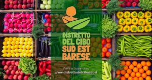 IL DISTRETTO DEL CIBO SUD EST BARESE APRE ALL'AUMENTO DI CAPITALE SOCIALE: UNA NUOVA OPPORTUNIT&Agrave; PER IL SETTORE AGROALIMENTARE LOCALE