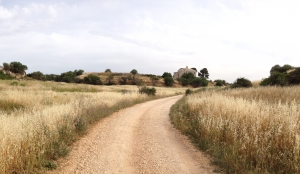 PUBBLICATO IL BANDO "INFRASTRUTTURE PUBBLICHE PER FRUIZIONE AREE RURALI E NATURALI" - 2&deg; AVVISO