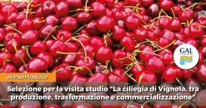 AVVISO PUBBLICO DI SELEZIONE PER LA VISITA STUDIO "LA CILIEGIA DI VIGNOLA, TRA PRODUZIONE, TRASFORMAZIONE E COMMERCIALIZZAZIONE"