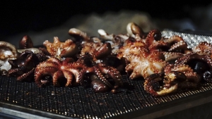 FISH EXPERIENCE, CON LA SAGRA DEL POLPO TORNA A MOLA DI BARI L'EVENTO PER LA PROMOZIONE DEL PATRIMONIO COSTIERO