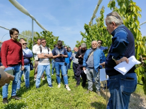 COMPLETATA LA VISITA STUDIO DEL GAL IN EMILIA ROMAGNA SULLA FILIERA CERASICOLA