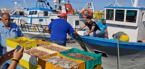 BANDO MERCATI LOCALI DI PRODOTTI DELLA PESCA: PUBBLICATE LE GRADUATORIE