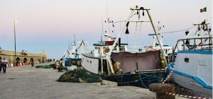 CONVEGNI, WORKSHOP E VISITE STUDIO PER IL SETTORE DELLA PESCA